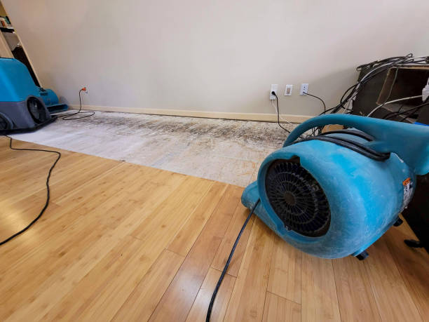 Professional Basement Flood Cleanup technician working in Parachute, CO